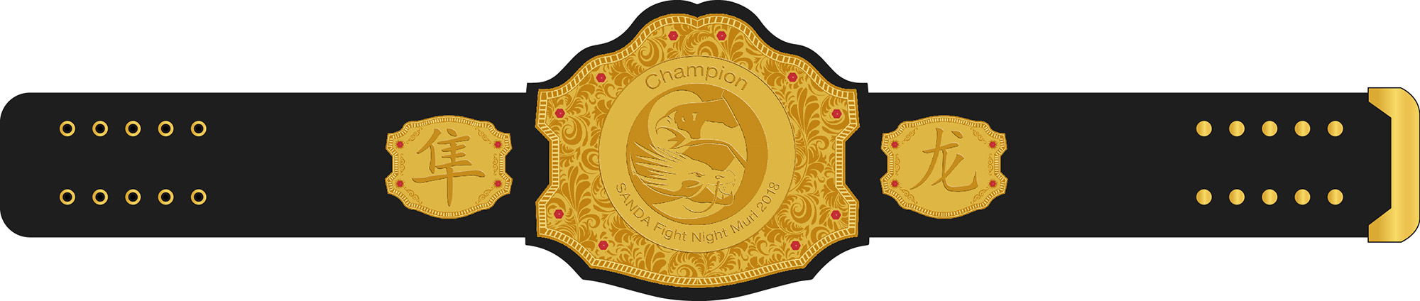 SunLong SANDA Fight Night Muri Champion Grtel