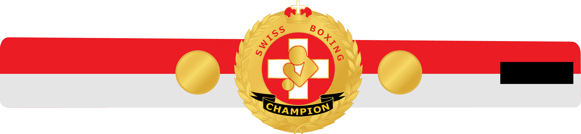 Swiss Boxing Champion Grtel
